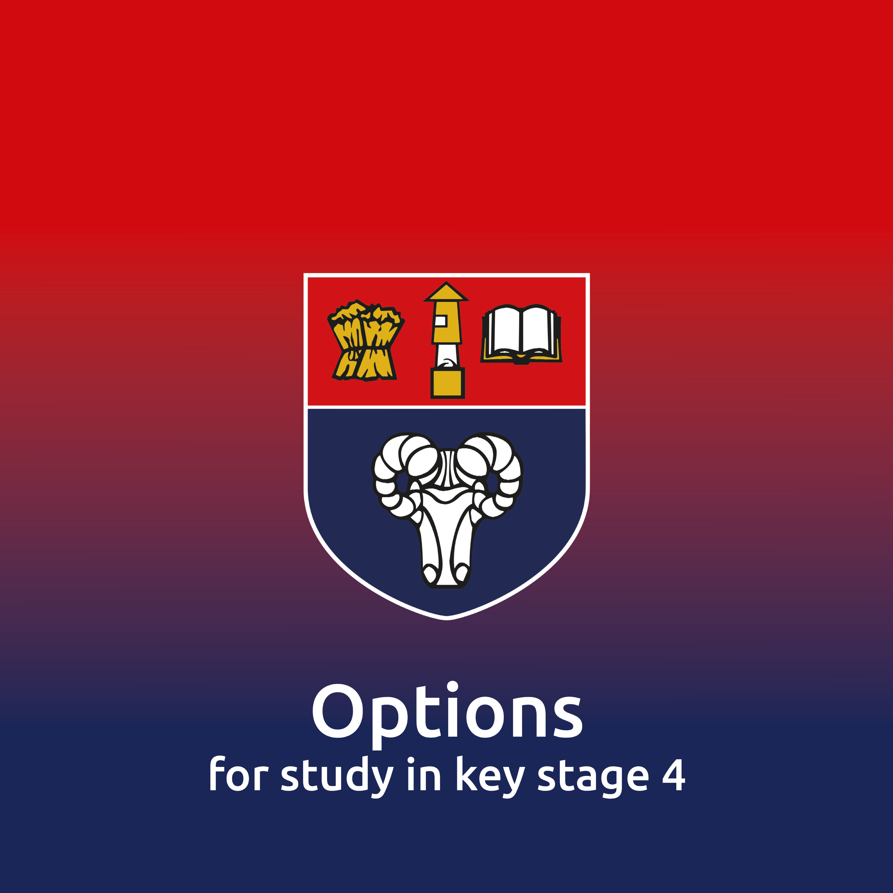 Button for Options