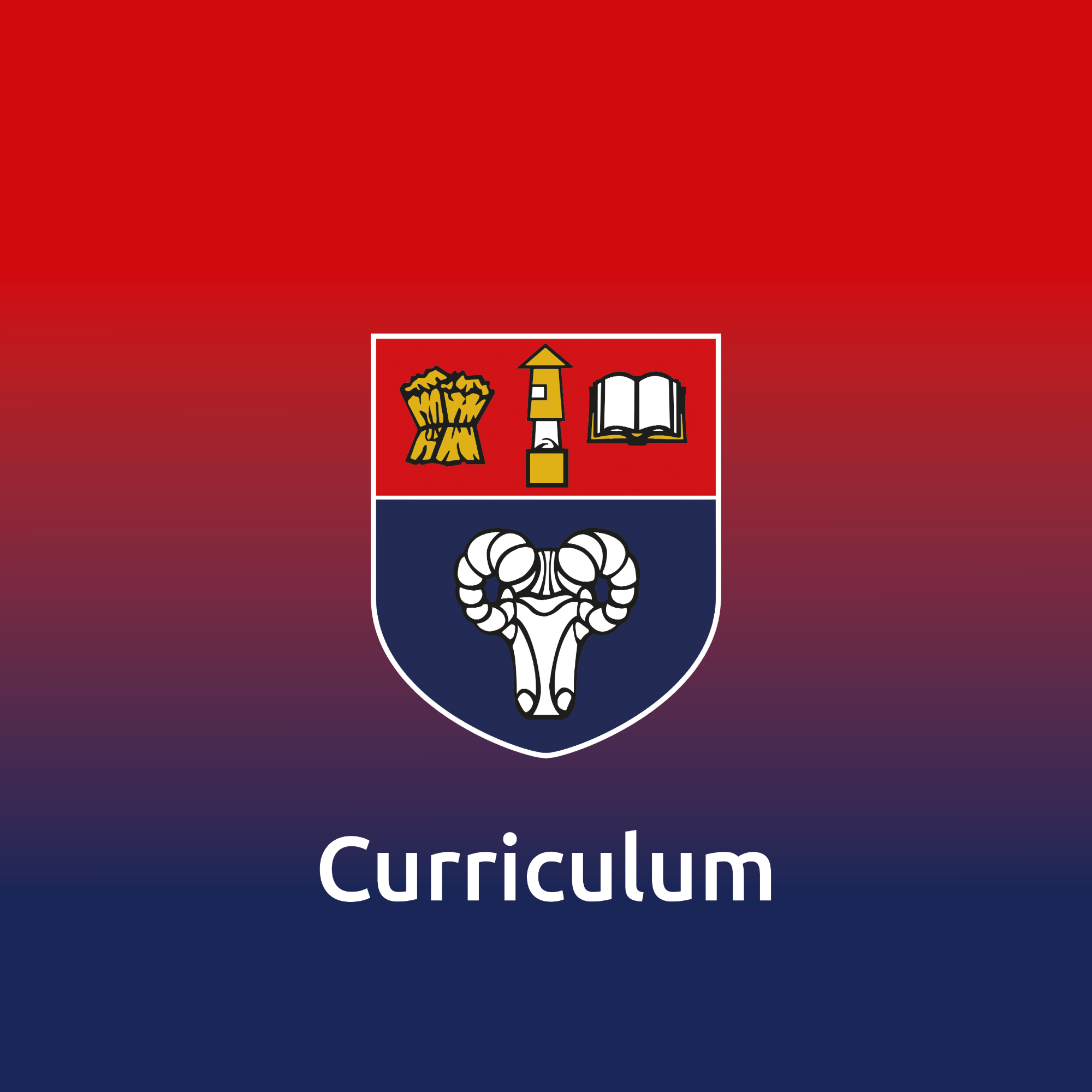 Button for Curriculum